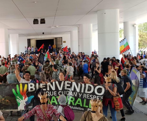 Las agrupaciones ambientalistas y las comunidades precordilleranas de la Región del Ñuble aseguraron que mantendrán las manifestaciones en contra de todas las subastas de este tipo que se llevarán a cabo hasta el próximo 22 de enero. Foto: ONG Ñuble Libre.