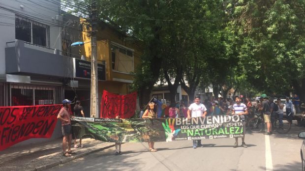 Desde las organizaciones de la Región del Ñuble ligadas a la defensa del medio ambiente anunciaron que mantendrán las movilizaciones para los 14 remates restantes. Foto: Ñuble Libre.