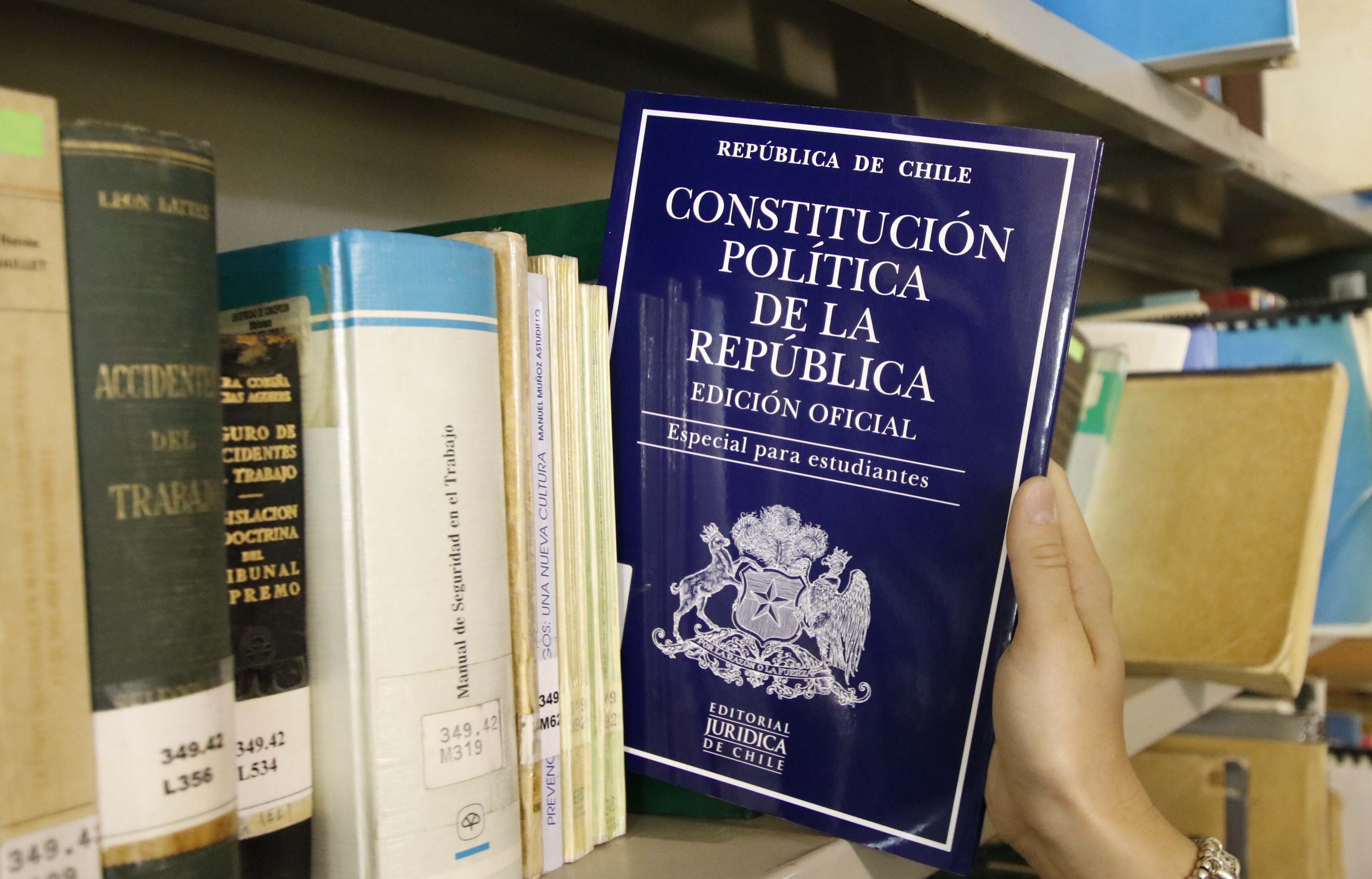 texto constitucion de 1980 7