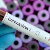 coronavirus chile 1