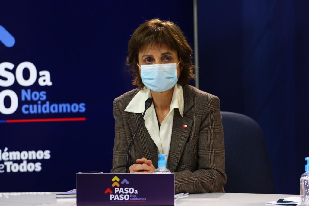 La subsecretaria de Salud Pública, Paula Daza. Foto: Ministerio de Salud.