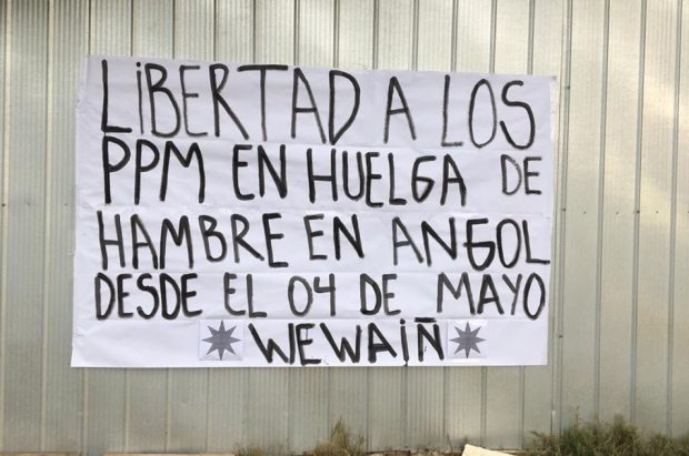 Son ocho los comuneros mapuche que pasaron 123 días de huelga de hambre en la cárcel de Angol y que terminaron su ayuno el pasado jueves 2 de septiembre, sin respuesta del Gobierno a sus demandas. Foto: Archivo.