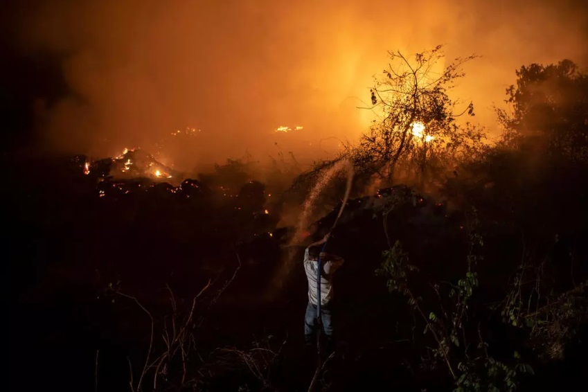 El Pantanal de Brasil - uno de los mayores humedales tropicales del mundo - está sufriendo sus peores incendios en más de 47 años.