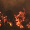 La ONEMI cifró en casi 3.000 las hectáreas afectadas por los dos incendios forestales que se desarrollan en la comuna de Quilpué. Foto: Agencia UNO.
