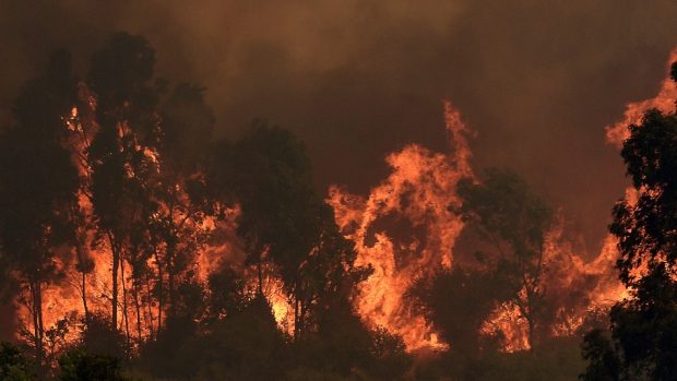 La ONEMI cifró en casi 3.000 las hectáreas afectadas por los dos incendios forestales que se desarrollan en la comuna de Quilpué. Foto: Agencia UNO. 