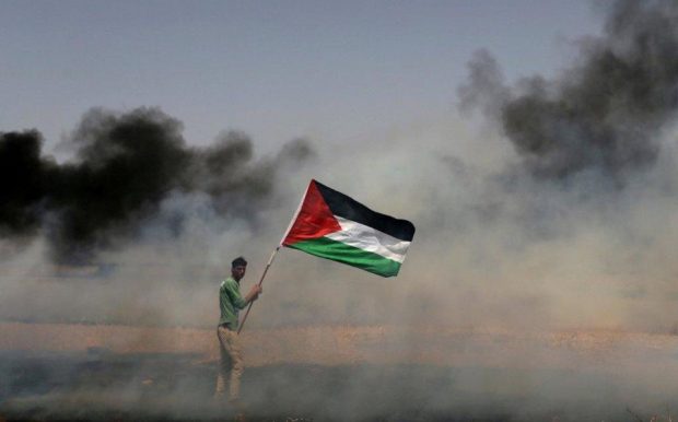 manifestante-sostiene-bandera-palestina-enfrentamientos_0_36_1024_637