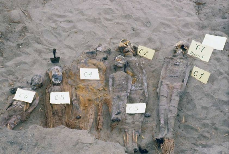 El desarrollo de estas prácticas funerarias respondería al protagonismo de la muerte en esta cultura por sus elevadas cifras de mortalidad producto del arsénico, comenta el arqueólogo Mauricio Uribe.