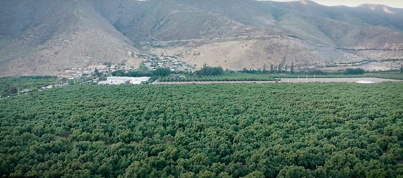 Entre 2012 y 2018, el gasto para la compra de agua potable y la contratación de su reparto en camiones aljibe por parte de la Gobernación Provincial de Petorca fue de $8.754.121.511.