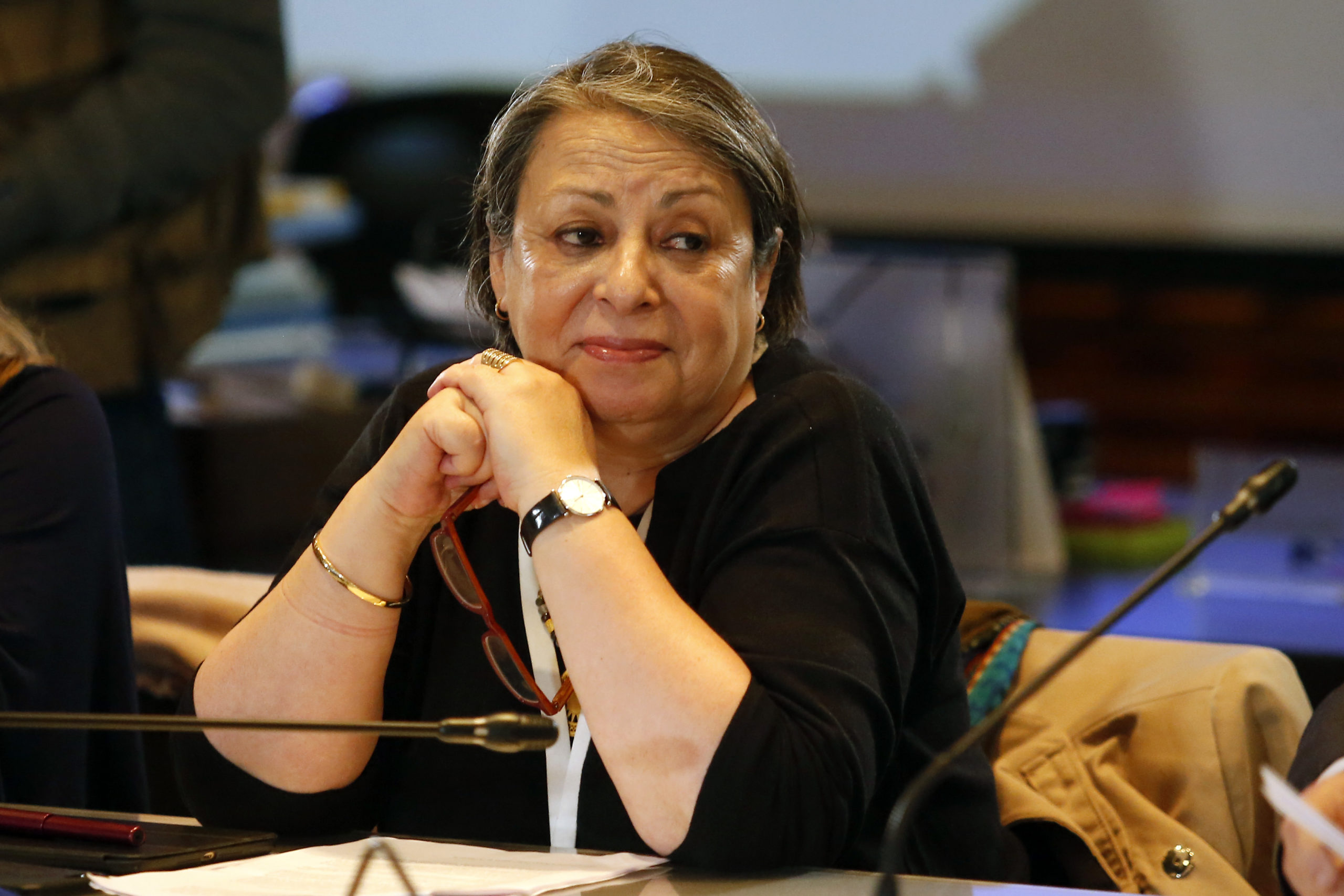 Valparaiso, 23 de octubre de 2018.
La directora del instituto nacional de derechos humanos Consuelo contreras participade la comision de Educacion del Senado discute Aula Segura. 
Raul Zamora/Aton Chile