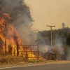 Santa Juana, 6 de Febrero de 2023
Incendio Forestal entre comuna de Santa Juana y nacimiento.

Alejandro Farias/Aton Chile