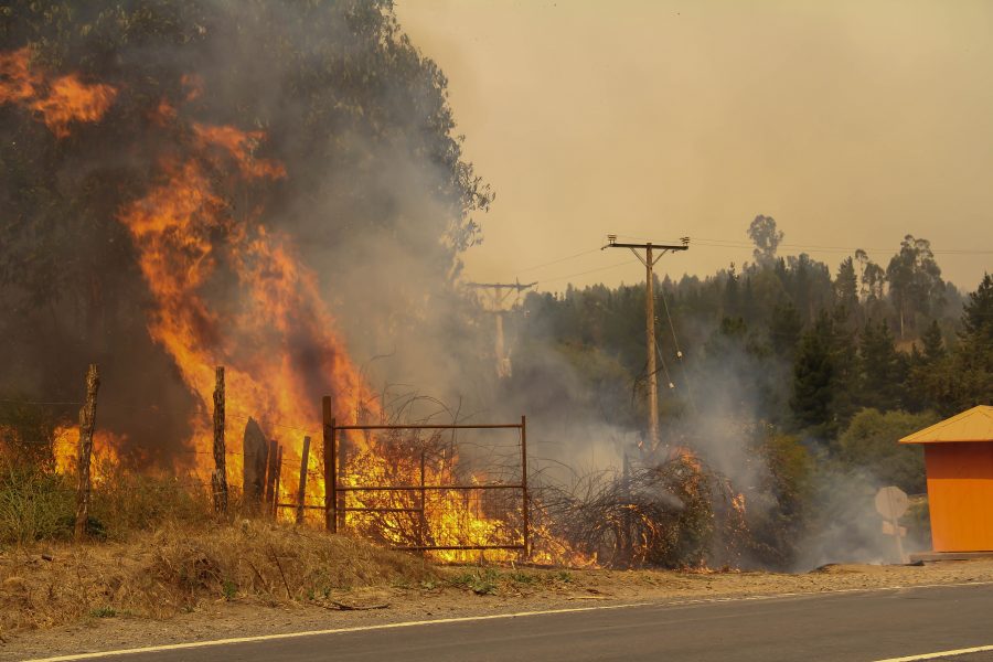 Santa Juana, 6 de Febrero de 2023
Incendio Forestal entre comuna de Santa Juana y nacimiento.

Alejandro Farias/Aton Chile