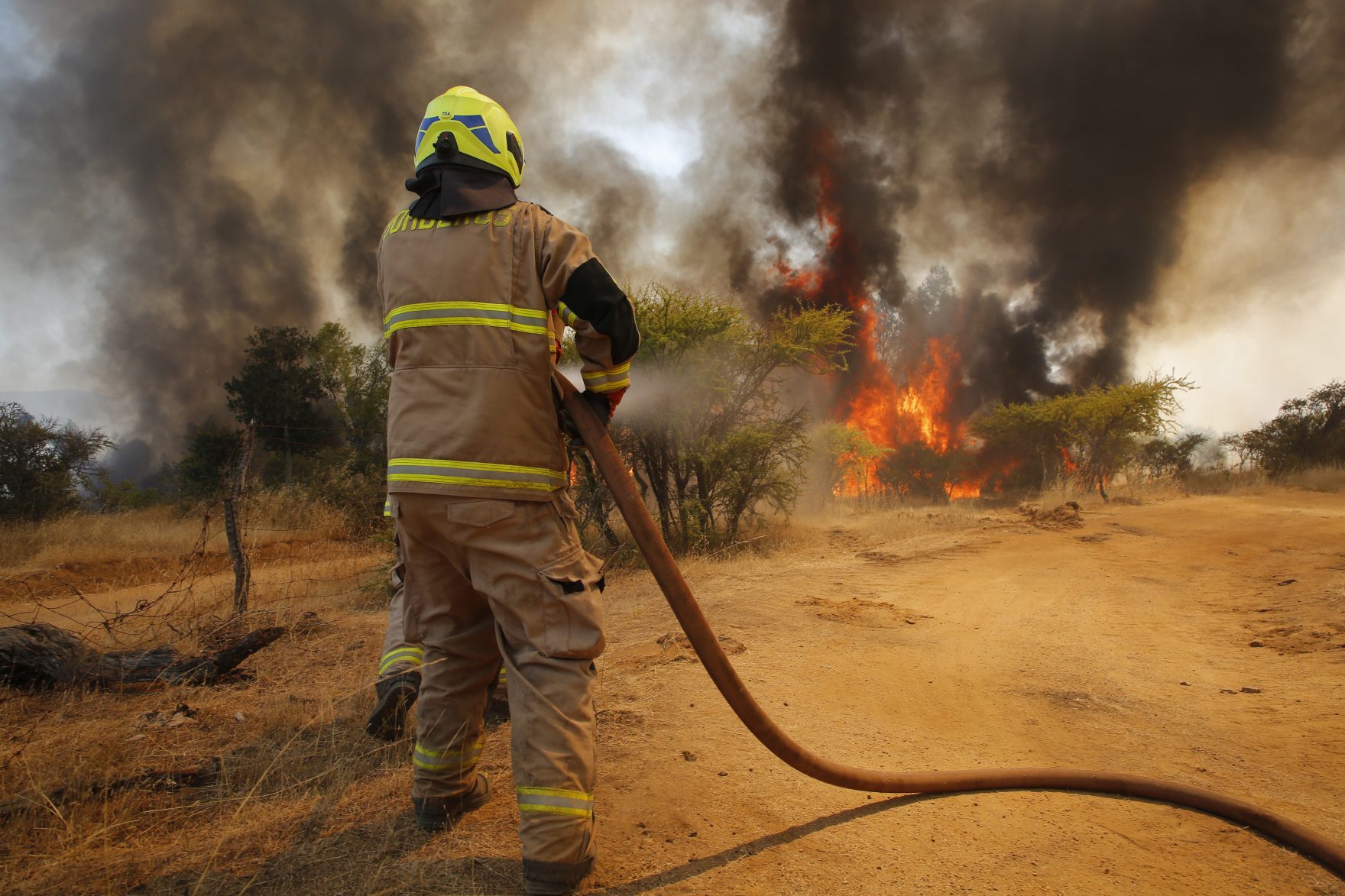 Ninhue norte, 11 de Febrero 2023.
Bomberos combaten Incendio forestal en Ninhue norte
Marcelo Hernandez/ Aton Chile.