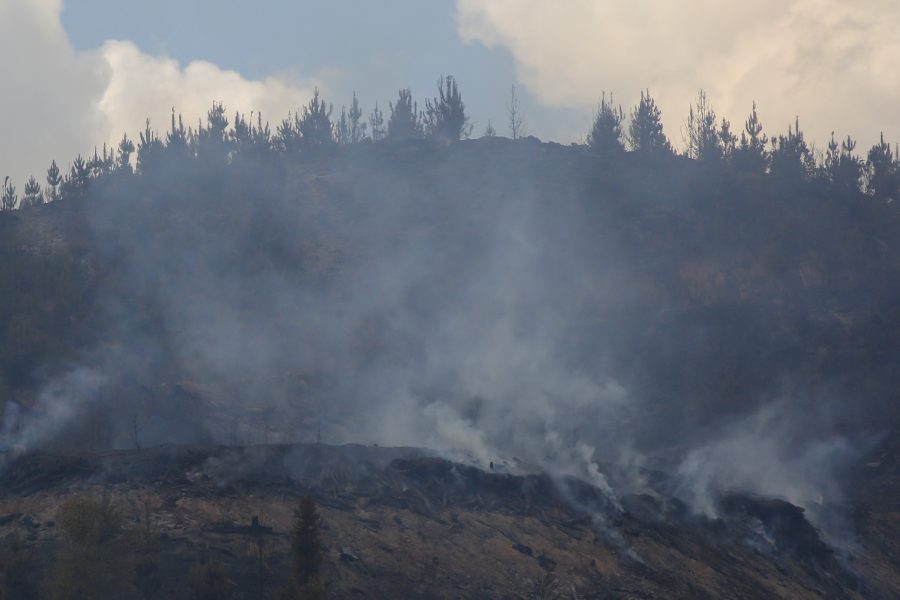 Menque, 12 de Febrero 2023.
Vecinos y un grupo de militares controlan un sector de los incendios forestales en Dichato.
Marcelo Hernandez/ Aton Chile.