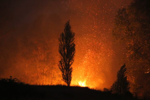 Nacimiento, 8 de Febrero 2023.
Incendios forestales en Nacimiento,  region del Bio Bio.Miles de hectáreas se quemaron ante la vista de sus habitantes.
Marcelo Hernandez/ Aton Chile