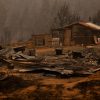 Santa Juana, 05 Febrero 2023
Estragos que dejaron incendios forestales en diversos sectores de Santa Juana, Región del Biobío, Chile.

Esteban Paredes/Aton Chile
