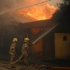 Chillan, 2 de febrero de 2023.
Incendios forestales sin control llegan a casas en Doña Francisca 3 de Chillan.
Jose Carvajal/Aton Chile