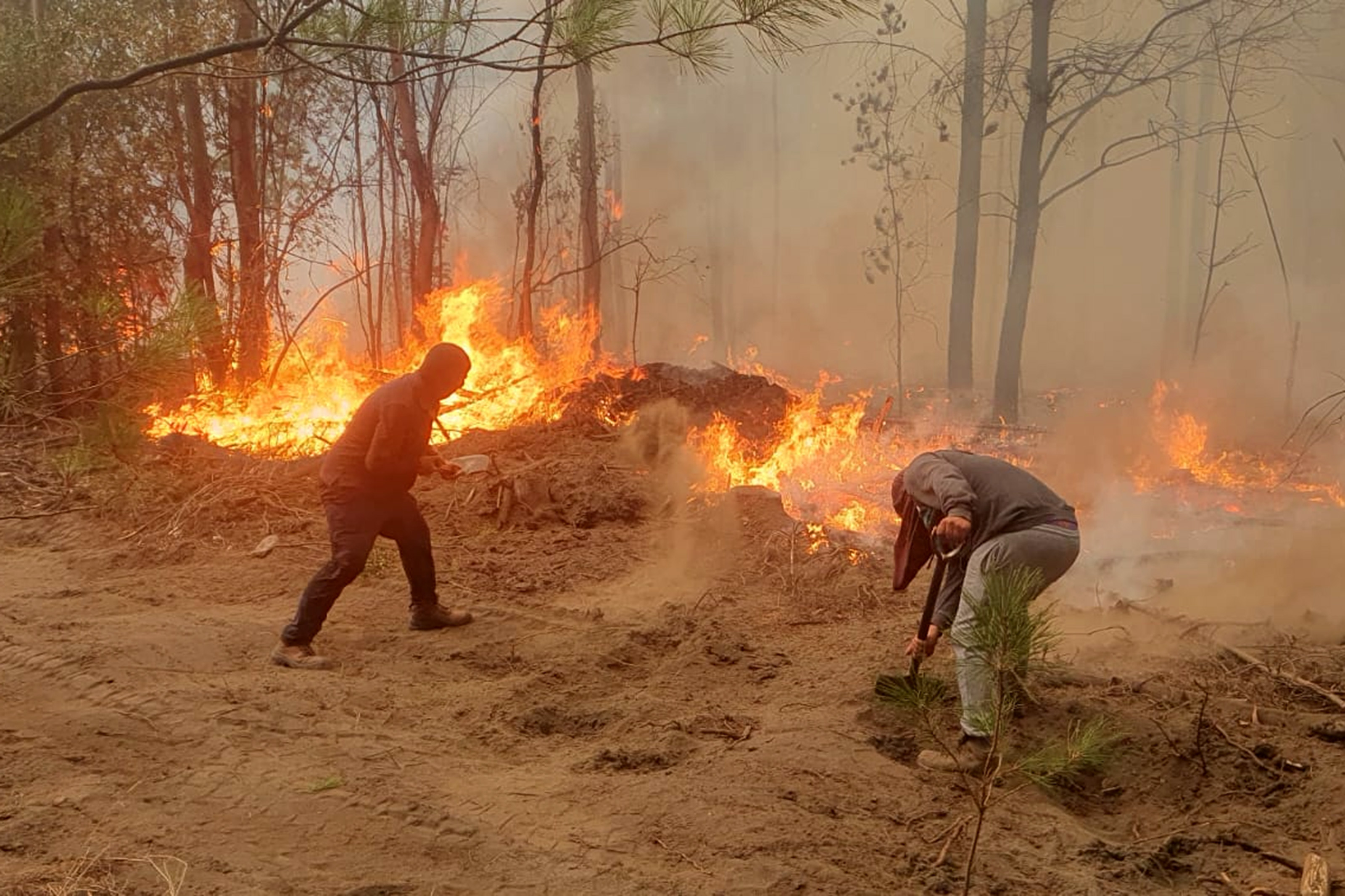 Quilleco, 6 de febrero de 2023.
Incendios forestales se registran en la comuna de Quilleco region del Bio Bio.
Livio Silva/Aton Chile
