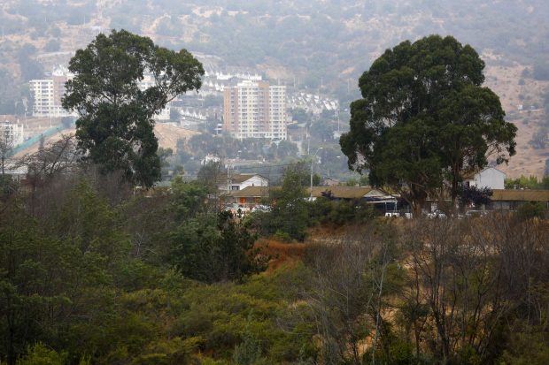 Región de Valparaíso: 50% de los conflictos ambientales corresponde a urbanizaciones y loteos que afectan a la vegetación nativa