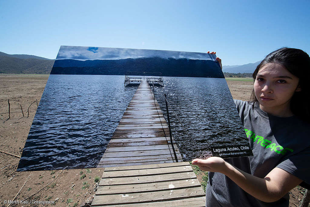 Día Mundial de Lucha contra la Sequía: Impresionante antes y después de Laguna de Aculeo
Foto Greenpeace Chile