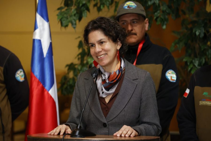 Valparaiso, 14 de junio de 2023.
La Ministra de Medio Ambiente Maisa Rojas ofrece un punto de prensa en la Camara de Diputados.
Raul Zamora/Aton Chile