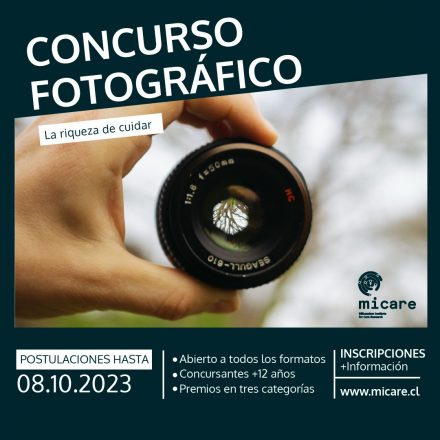 Concurso fotográfico
