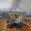 Ninhue norte, 11 de Febrero 2023.
Bomberos combaten Incendio forestal en Ninhue norte. 
Marcelo Hernandez/ Aton Chile.