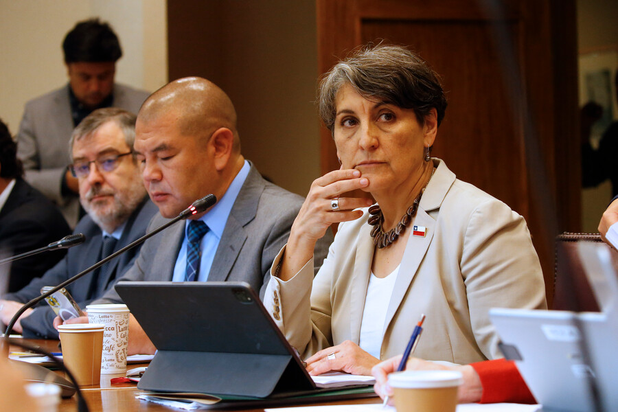 La ministra de Salud, Ximena Aguilera, en la Comisión de Salud del Senado.