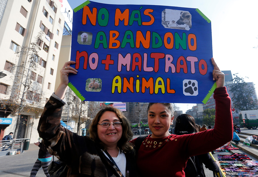 Chile prohíbe pruebas de cosméticos en animales