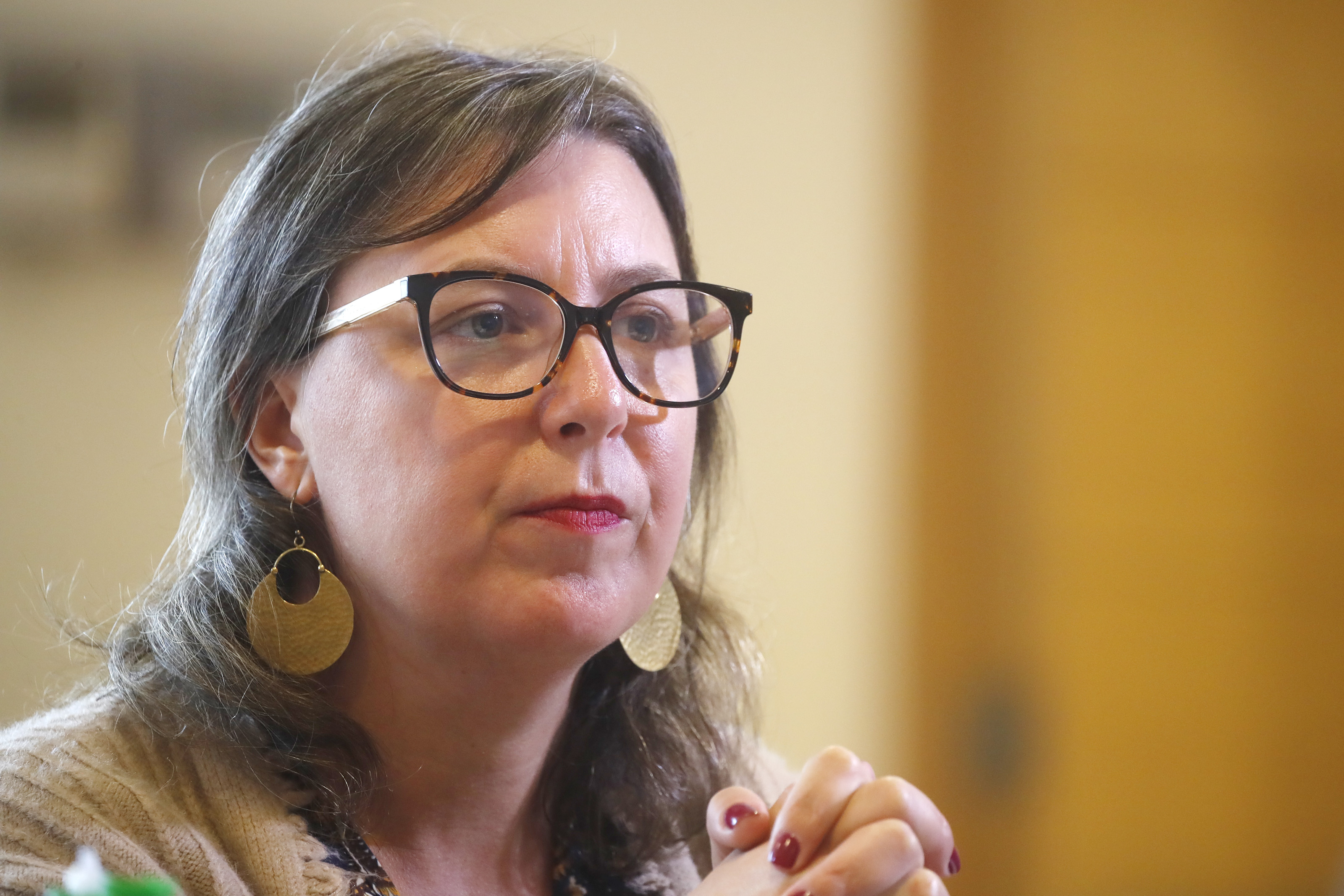 La directora ejecutiva de Chile Transparente, María Jaraquemada