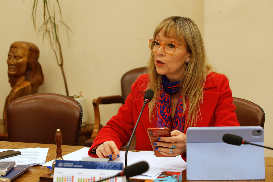 Ana María Gazmuri cuestionó realización de test de drogas en el Congreso Nacional