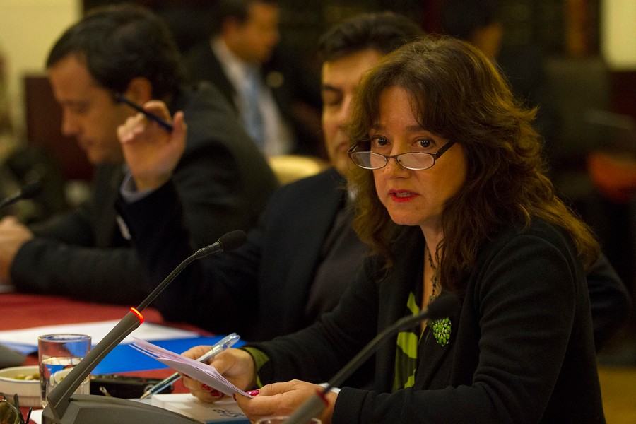 Tamara Agnic, presidenta de Chile Transparente.