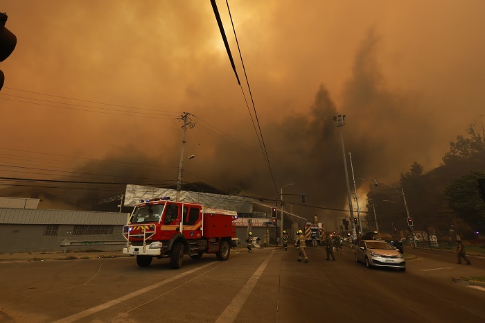 Vina del Mar, 3 de febrero de 2024
Incendio arrasa con fuerza en el sector de Limonares, a un costado del Troncal Urbano.
Andres Pina/Aton Chile