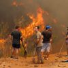 Incendios forestales en Chile actualización