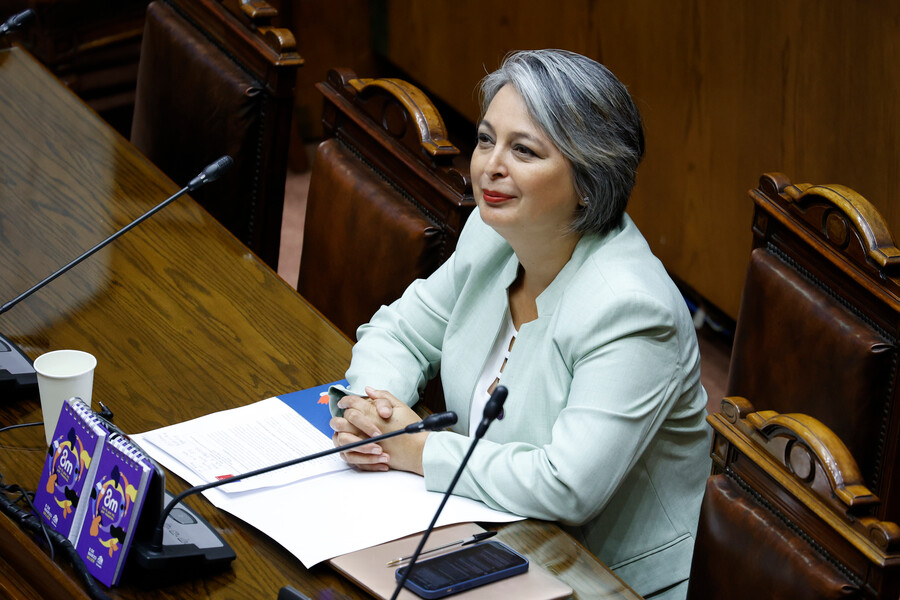 Ministra del Trabajo, Jeanette Jara, en el Senado.