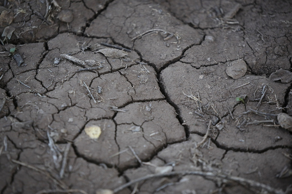 Imágenes referenciales de sequía en la Región de Coquimbo