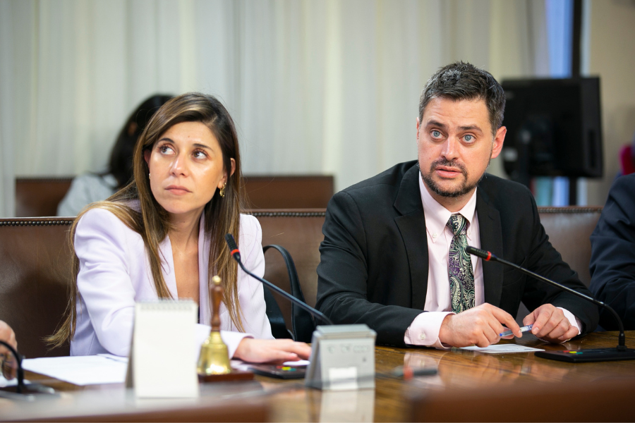 Diputados Manouchehri y Cicardini (PS) interponen querella por cohecho agravado contra implicados en Caso Hermosilla