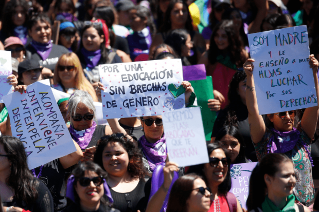 Teresa Valdés sobre recurso de la derecha ante el TC: “La educación no sexista es la base de la construcción de igualdad entre mujeres y hombres”