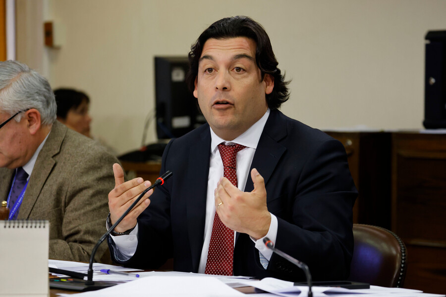 El diputado del Partido Socialista, Raúl Leiva.