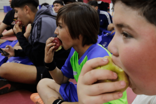 Estrategia para detener la aceleración del sobrepeso y obesidad en la niñez y adolescencia