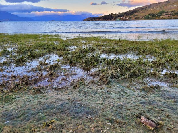 Aguas servidas en Puerto Guadal