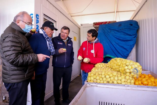 Ministro de Agricultura junto a dirigentes y vendedores del Mercado Lo Valledor, revisan frutas de la temporada de invierno.