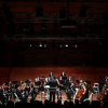 Orquesta Sinfónica Estudiantil Metropolitana (OSEM)