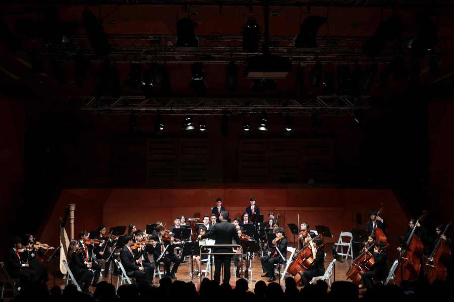 Orquesta Sinfónica Estudiantil Metropolitana (OSEM)