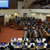 Homenaje a Rosa Ramírez en la Cámara de Diputadas y Diputados (vía Instagram)