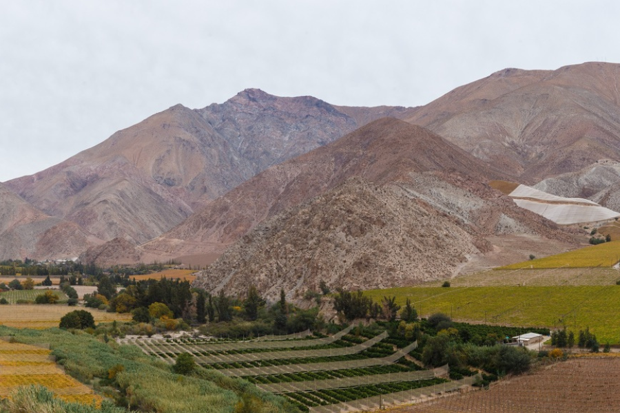 Foto: Valle del Elqui / Sernatur