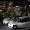 Una palmera cae sobre un vehículo tras los fuertes vientos que se registran en la comuna de Lo Barnechea.
Javier Salvo/Aton Chile