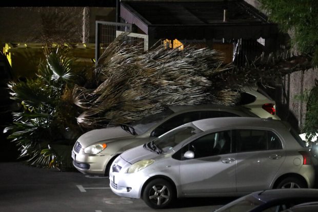 Una palmera cae sobre un vehículo tras los fuertes vientos que se registran en la comuna de Lo Barnechea.
Javier Salvo/Aton Chile