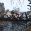 Un arbol cae en alameda esquina Brasil, durante las precipitaciones que afectan a gran parte del país
Dragomir Yankovic/Aton Chile