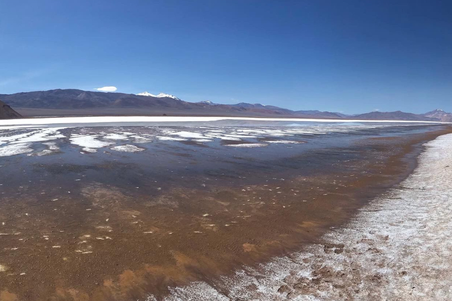 Salar de Maricunga