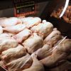 El pollo fue el producto que registró una mayor variación en su precio durante el último mes. Foto: Javier Salvo/Aton Chile.